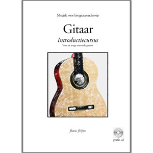 Gitaar - Introductiecursus